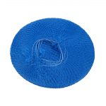Lion Haircare Hair Net Light Blue (50 Pack) - Image 6
