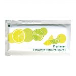 eGreen Large Freshening Hand Wipes (500 Pack)