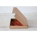 Fiesta Compostable Plain Pizza Boxes 9" (100 Pack) - Image 2