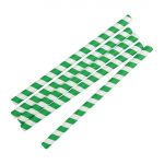 Fiesta Compostable Paper Smoothie Straws Green Stripes (250 Pack) - Image 2