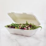 Vegware Compostable Bagasse Clamshell Hinged Meal Boxes 228mm - Image 5
